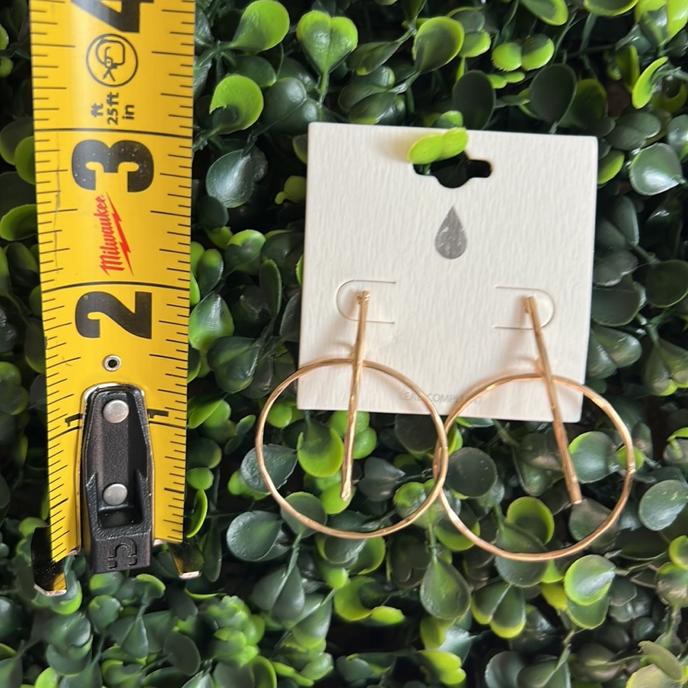 Goldtone Beatrice Hoop Earring - Picture 2 of 9